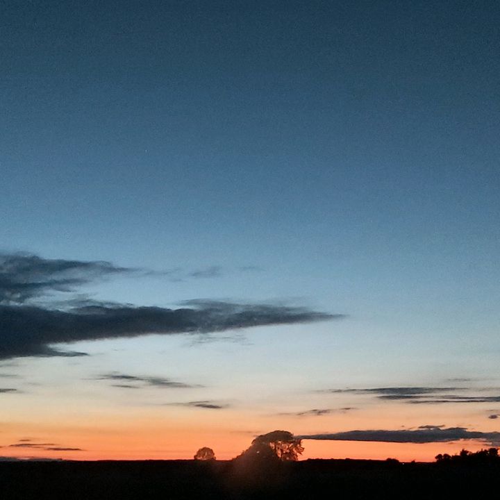 Joanne Donohue - Tiktok Profile Picture of Joanne Donohue (@@joannedonohue) on Tiktok