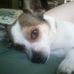 Profile Picture of Larry Bemis (@larry.bemis.3150) on Facebook