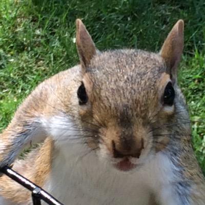 Profile Picture of Joseph Dobbins (@JosephDobbins) on Twitter