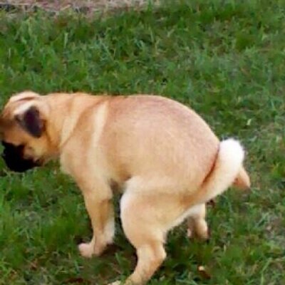 Profile Picture of Roche & Jackie Cain (@madmaxie2013) on Twitter