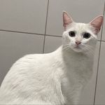 Profile Picture of Letícia Alexandre (@lele_xandre20) on Instagram