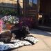 Profile Picture of Nancy McKenzie (@nancy.mckenzie.14855377) on Facebook