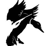 Profile Picture of Jared Smith (@aucoin_jacob) on Instagram