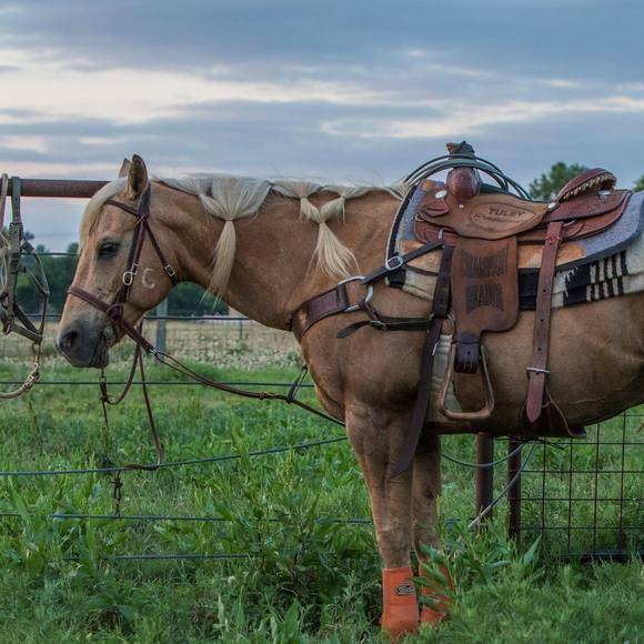 Profile Picture of Charles Nordan (@charlesnordan) on Poshmark