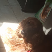 Emeli  Upegui  Juega🍇🍉 - Youtube Profile Picture of Emeli  Upegui  Juega🍇🍉 (@Emeliupegui) on Youtube