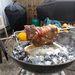 Profile Picture of Daniel Hucker (@huckerd) on Pinterest