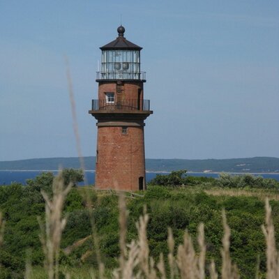 Profile Picture of George Pappas (@gpappas44) on Twitter