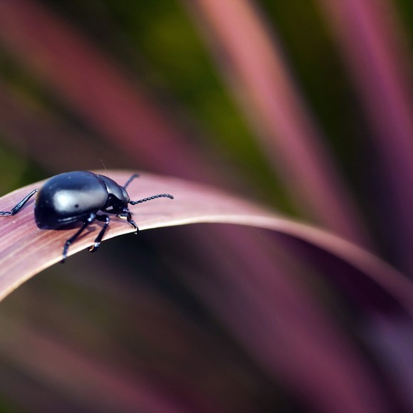 Profile Picture of Steven Ellen (@damiedamie295) on Poshmark