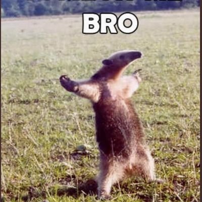 Profile Picture of KevinPons (@kp07016065) on Twitter