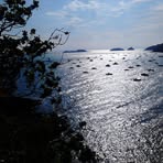 Profile Picture of Catherine Ferron (@catherine.ferron.395) on Facebook