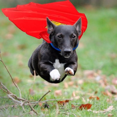 Profile Picture of Anton Mick (@Anthony_Vesper) on Twitter