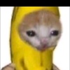 Profile Picture of Benjamin Burge (@b0rgenat0r) on Tiktok