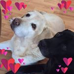 Profile Picture of Sharon Enos Smith (@sharonsmith934) on Instagram