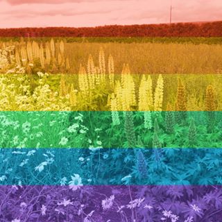 Profile Picture of Jeremy Soo (@Jeremy-Soo) on Facebook