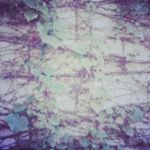 Profile Picture of Phyllis Kim (@pyk14) on Instagram