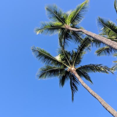 Profile Picture of Sean McCormick (@seanpurnawan) on Twitter