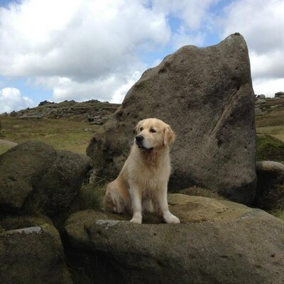 Richard Cantrill - Twitter Profile Picture of Richard Cantrill (@RichardCantrill) on Twitter