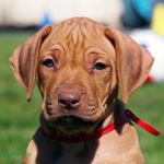 Profile Picture of Tina David-Pakula (@tinadavidpakula) on Instagram