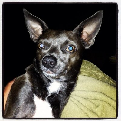 Profile Picture of Skeeter Smith (@Skeeter_thinks) on Twitter