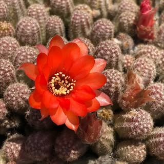 Profile Picture of NG (@nancygleisner) on Instagram