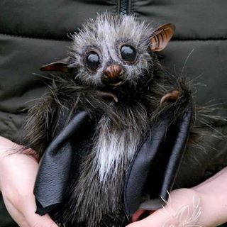 Profile Picture of Kiernan May McGrath (@kiernanmay317) on Facebook