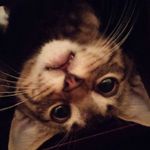 Profile Picture of Drizzy (@michaelsnedeker12007) on Instagram