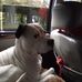 Profile Picture of Dawn Jacobsen (@dawn.jacobsen.7311) on Facebook