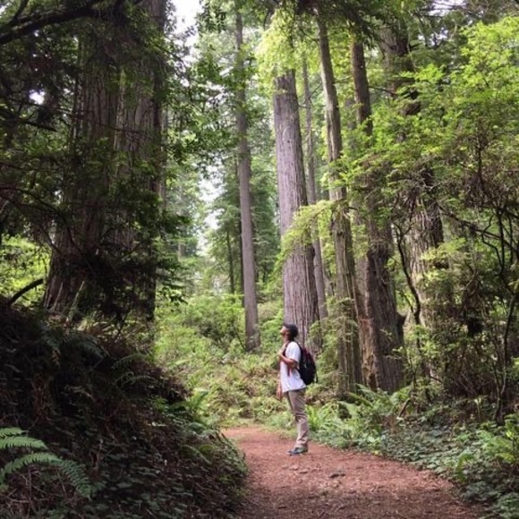 Profile Picture of Aaron Bollinger (@aaronjbollinger) on Poshmark