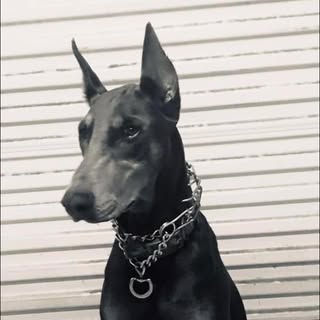 Profile Picture of Ada Berry (@bradberrychad) on Instagram