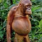 Profile Picture of Steven Eckert (@speedo_steveo) on Instagram