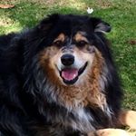 Profile Picture of Sam Arneson (@queen_justice1) on Instagram