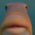 Profile Picture of Hubert (@huberts.isolated.aquarium) on Instagram