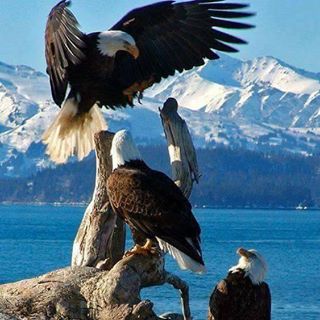 Profile Picture of Jim Robare (@jim.robare) on Facebook