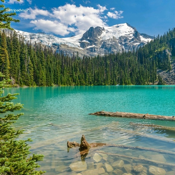 Profile Picture of Dawn Todaro (@alia_sicilia) on Poshmark