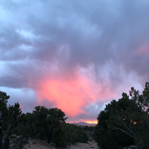 Profile Picture of Zoe Scott (@zooooodoodle) on Poshmark