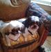 Profile Picture of Vickie Correll (@vickie.correll.1) on Facebook