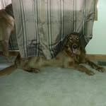 Profile Picture of Erica McManus (@mcmanuserica) on Instagram