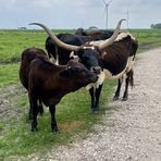 Profile Picture of Lindsey Malek (@lindsey.malek.39) on Facebook