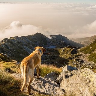 Stephen Affleck - Twitter Profile Picture of Stephen Affleck (@StephenAffleck) on Twitter