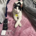 Profile Picture of Deshona Willingham (@shelly.lee.330467) on Instagram