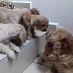 Profile Picture of Carlos Espinoza Pompa (@carlos_espinoza_pompa) on Instagram