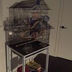 Profile Picture of David Lombardi (@lombardi8473) on Instagram