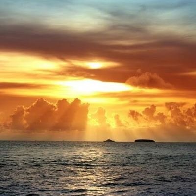 Profile Picture of Ashraf Zaki (@ashrafzaki1977) on Twitter