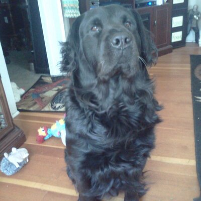 Profile Picture of Tami Moore (@tamimoore63) on Twitter