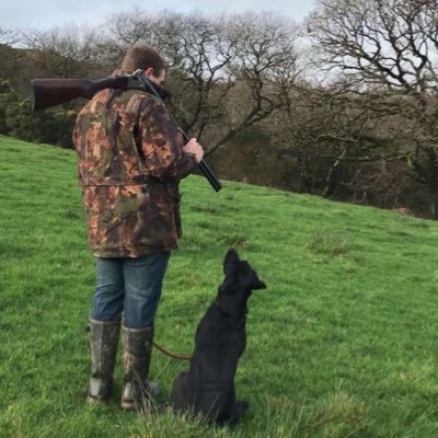 Profile Picture of Josh Shadrick (@JoshShadrick) on Twitter