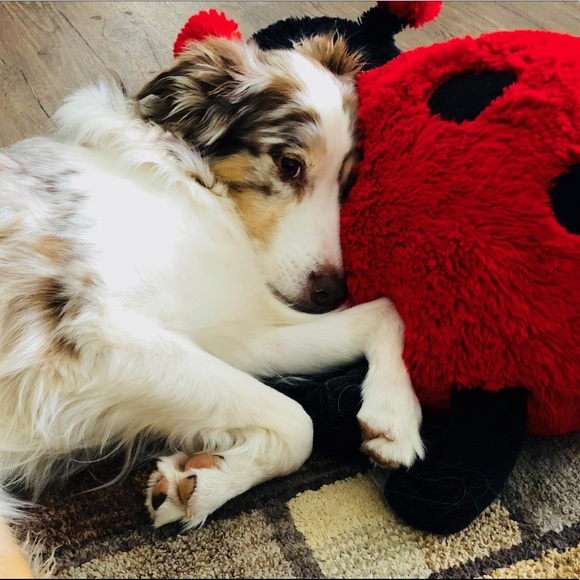 Profile Picture of Jennifer Slippy (@jenniferslippy) on Poshmark