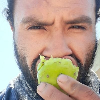 Anthony Josue Salgado Cortina - Twitter Profile Picture of Anthony Josue Salgado Cortina (@salgado_cortina) on Twitter