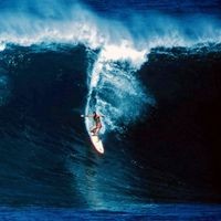 Profile Picture of Randy Rarick (@randy-rarick-1) on Quora