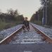 Profile Picture of Josh Dhillon (@josh.dhillon.7) on Facebook
