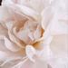 Profile Picture of J U U L ♥ (@juliaabel10) on Pinterest
